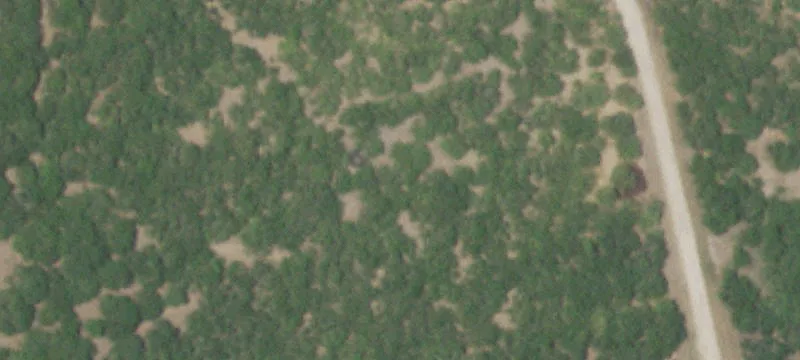 Fenced Agricultural Land with Pasture