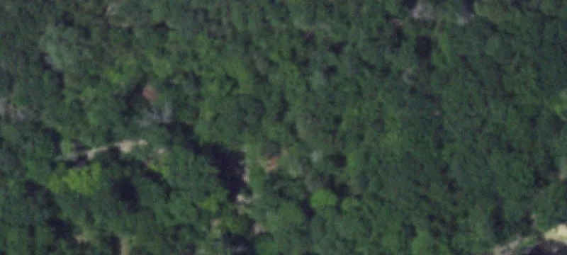 Ranch with Pasture and Hunting Land