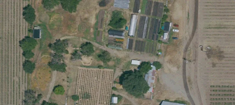 Residential Income Property with Vineyard