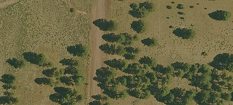 Horse & Equestrian Property With Arena