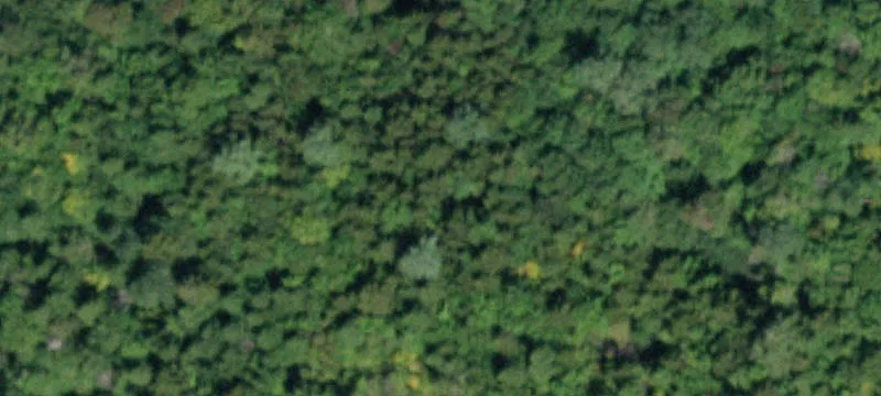 Land or Vacant Lot