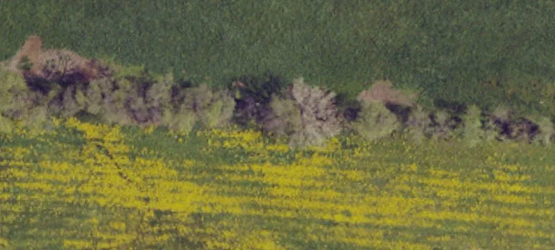 Unimproved Land