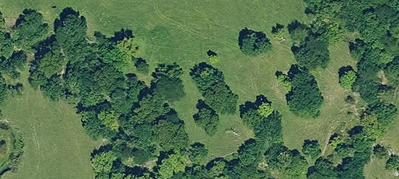 Fenced Pastureland