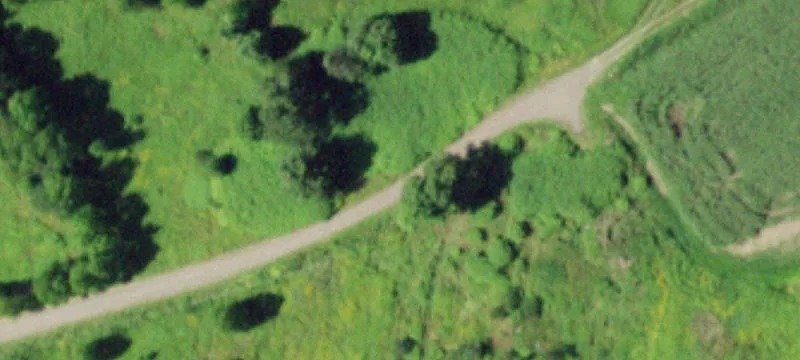 Contiguous Hunting Land