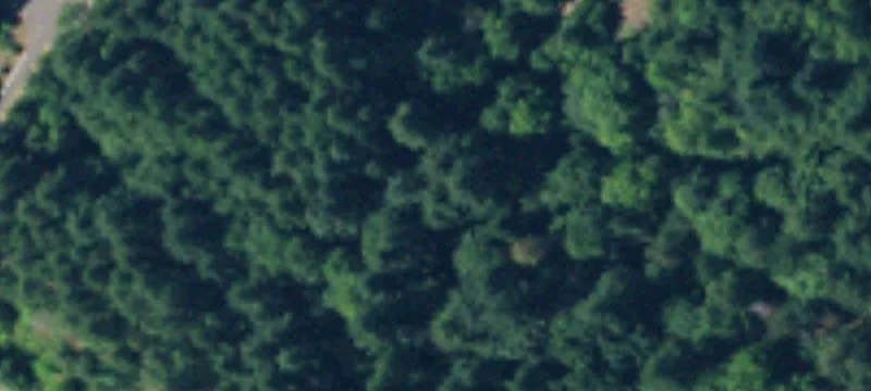 Vacant Acreage Parcel