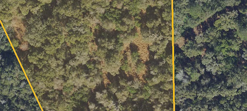 Agricultural Land Parcel