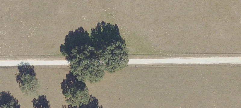 Fenced Agricultural Land