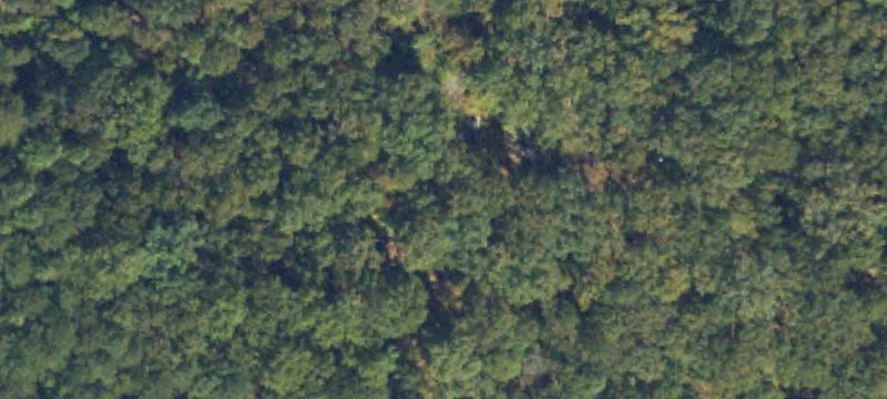 Unimproved Land