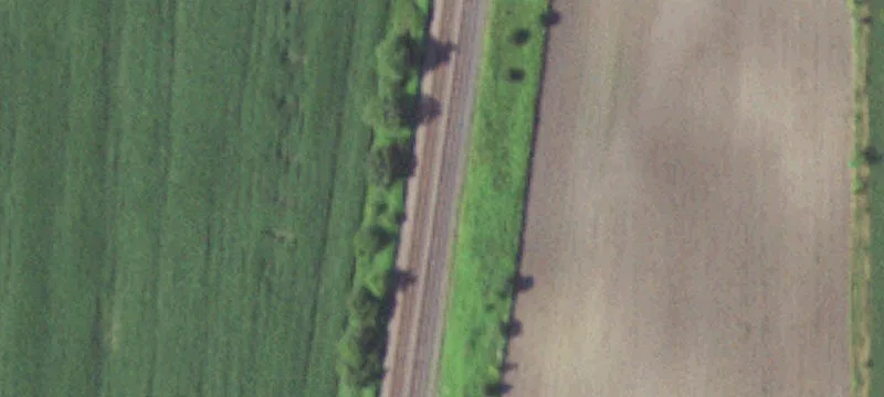 Agricultural Land with Mature Pines