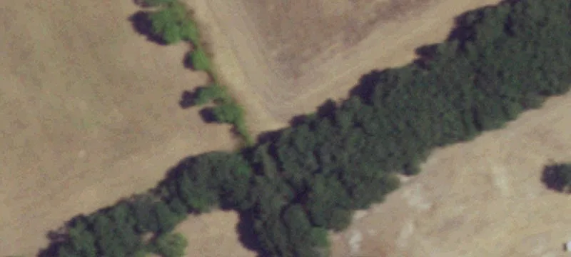 Unimproved Land