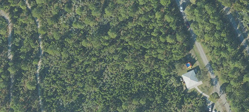 Operating Palm Nursery Property