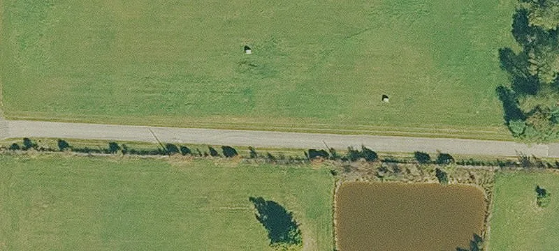 Mostly Cleared Land