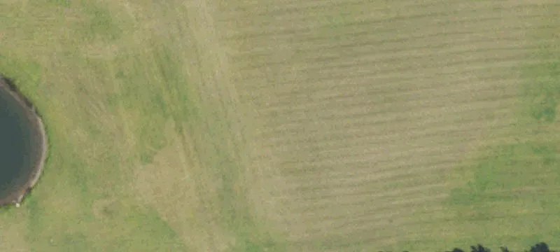 Unimproved Land