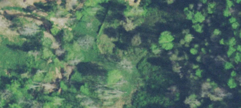 Fenced Agricultural Land