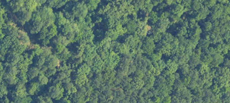 Corner Land Parcel