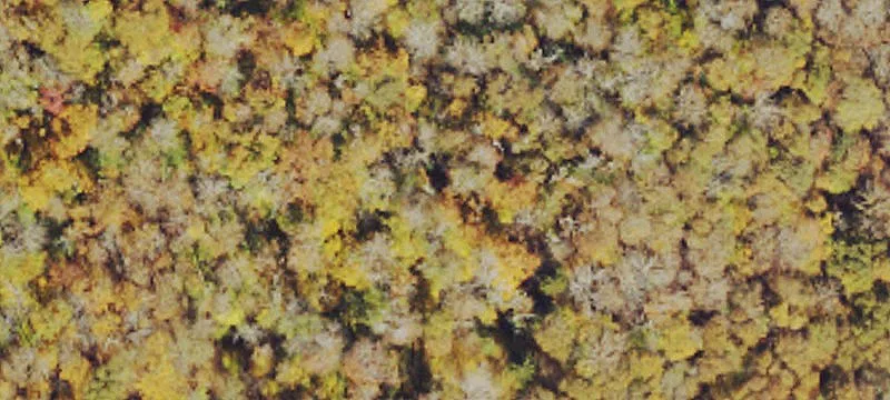 Unimproved Land