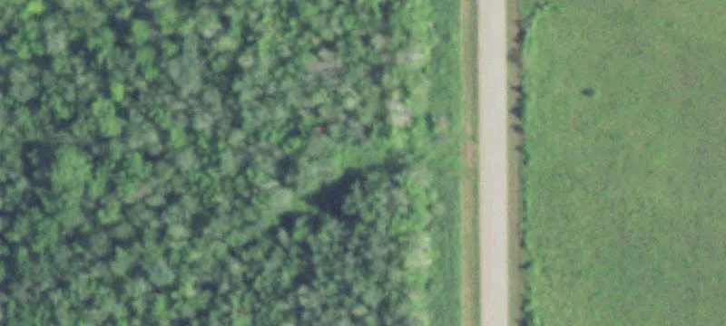 Land