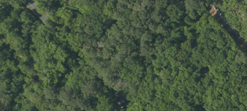 161 Carolina Cswy, Saint Helena Island, SC