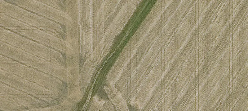 Farm Acreage with Grain Storage