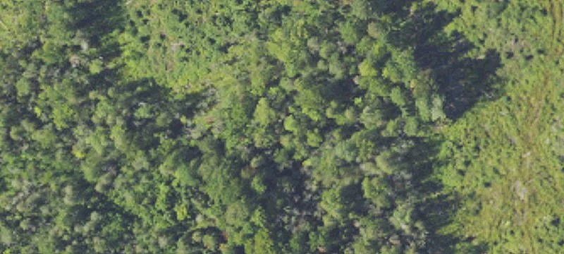 Hunting Land with Cabins