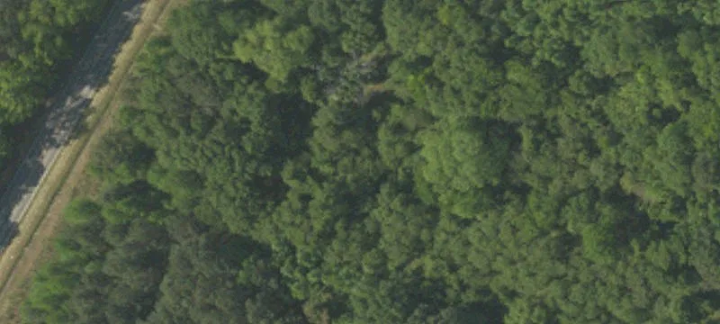 Wooded Commercial Land