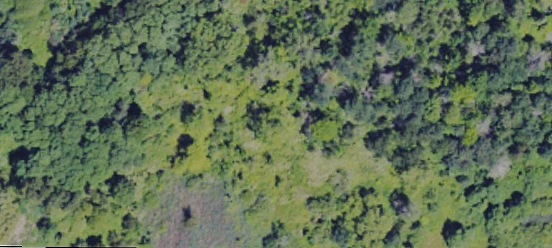 Commercial Land Parcel