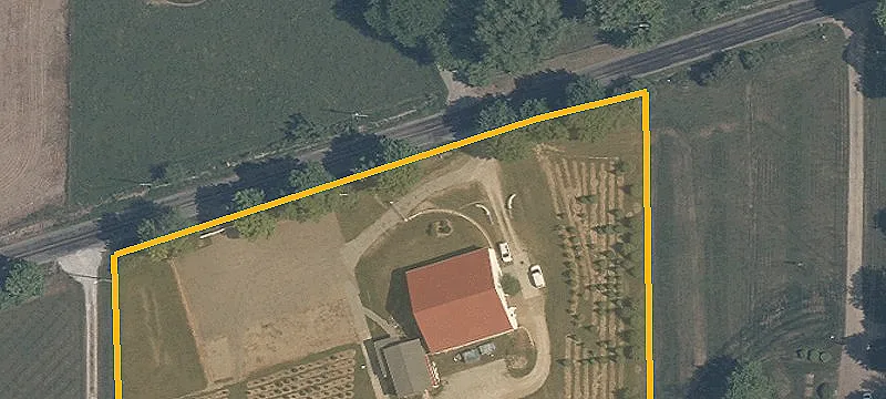 Established Christmas Tree Farm