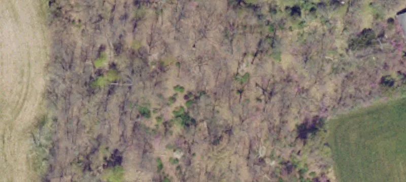 Unimproved Land
