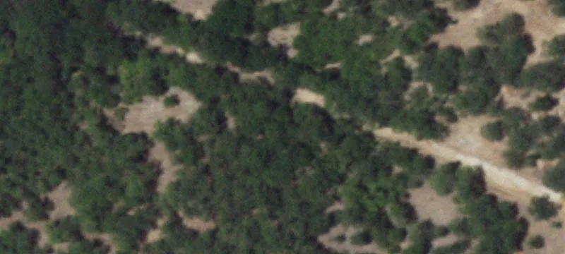 Farm Property with Cabin