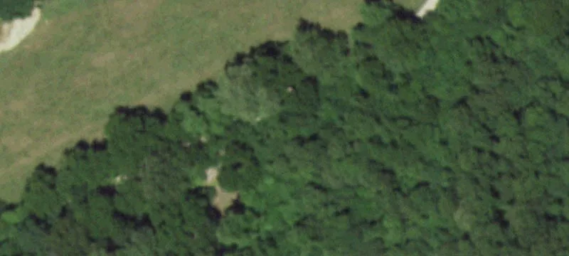 Wooded Country Land Tract