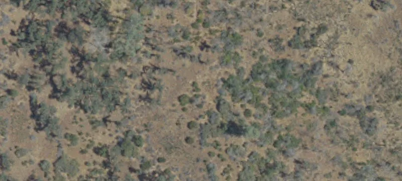 Treed Recreation Land