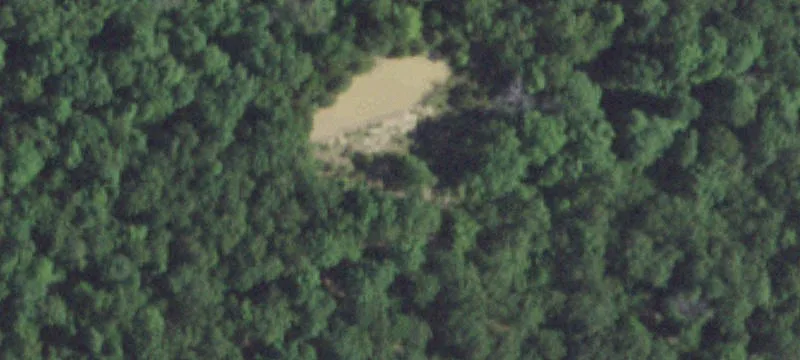 Cattle Farm with Country Home
