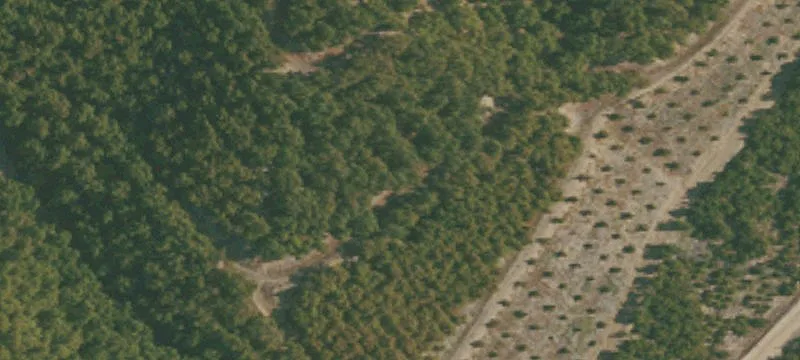 Coffee Orchard Farm