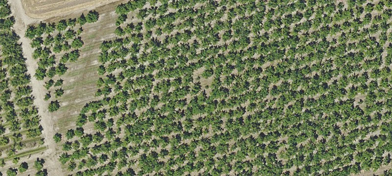 Unimproved Land