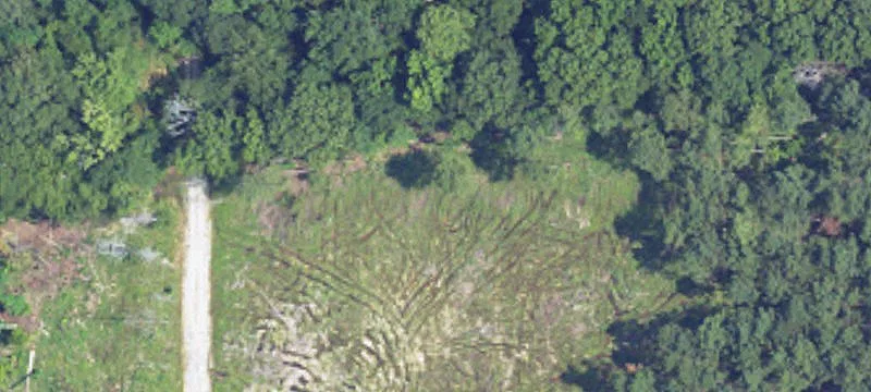 Partially Wooded Farmland