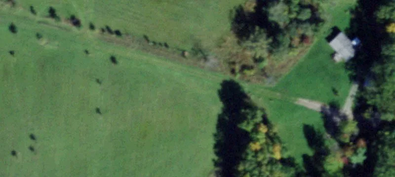 Wooded Recreation Land with Road Frontage