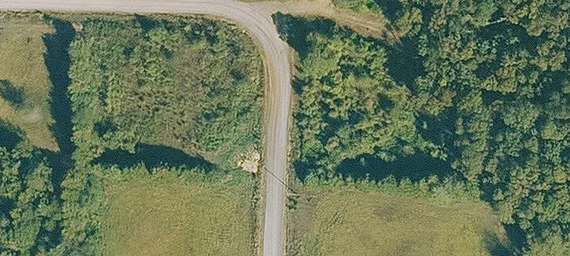 Wooded Land Parcel
