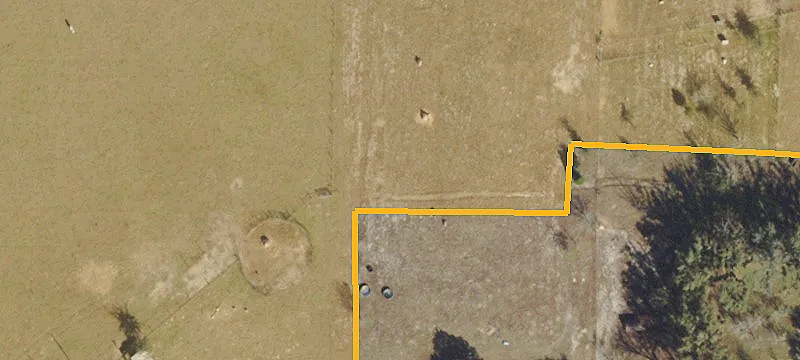 Fenced Farm With Paddocks