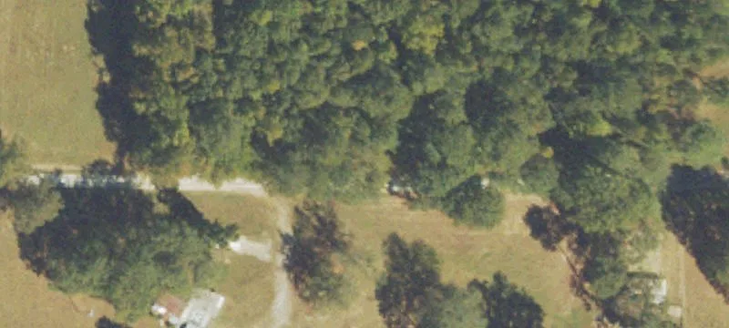 Hunting Land With Grass Clearing