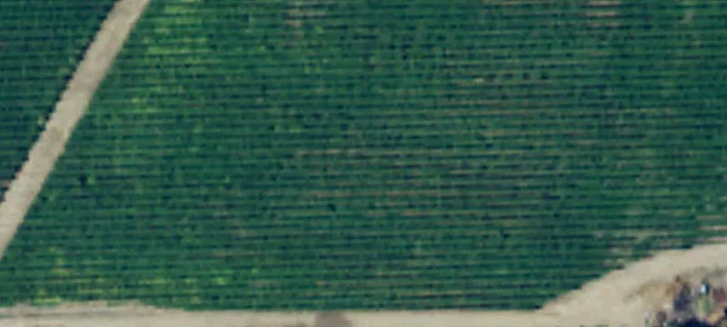 Lot 5 Clyde Cir, Sunnyside, WA 98944