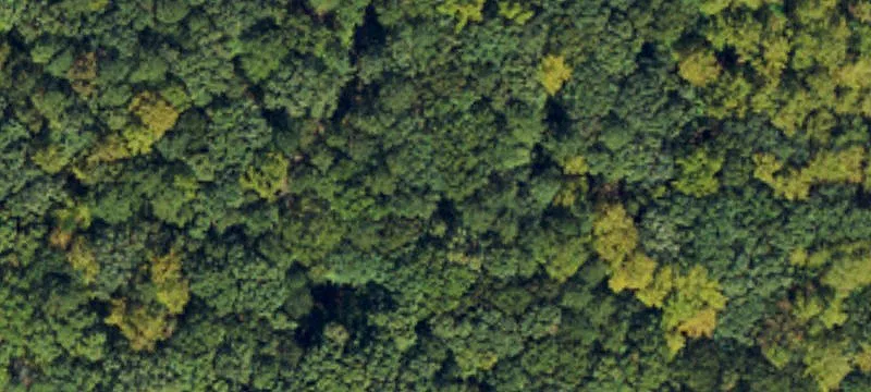 Unimproved Land