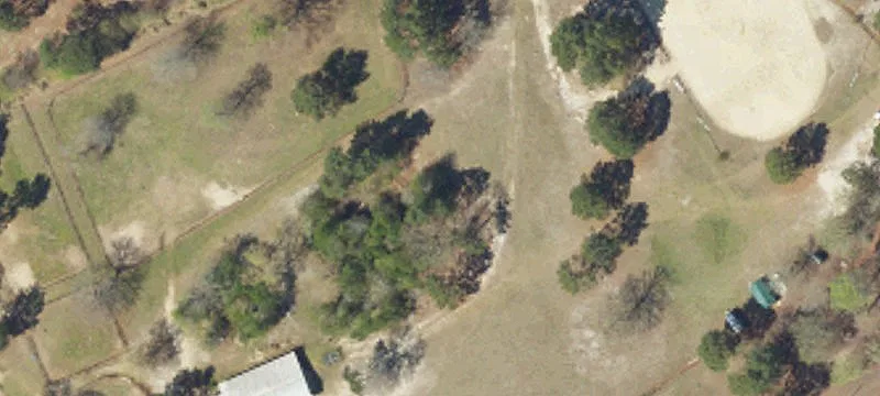 Equestrian Property with Arena