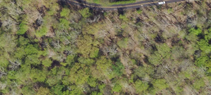 Unimproved Land