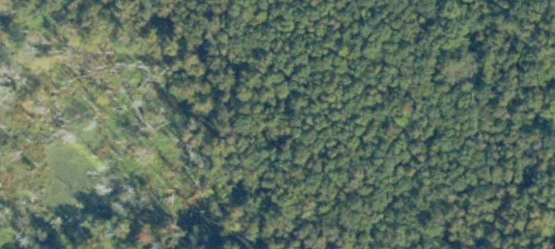 Hunting Land with Highway Frontage