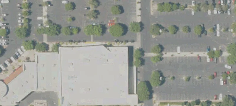 Single-Tenant Grocery Store