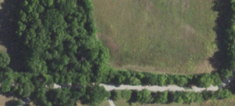 Agricultural Land with Wooded Acreage