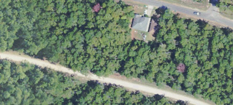 Surveyed Land Lot