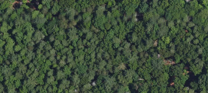 Lot-Land