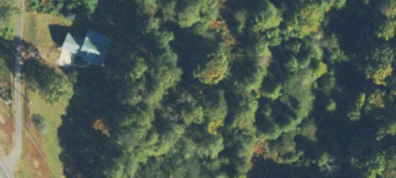 Wooded Development Land