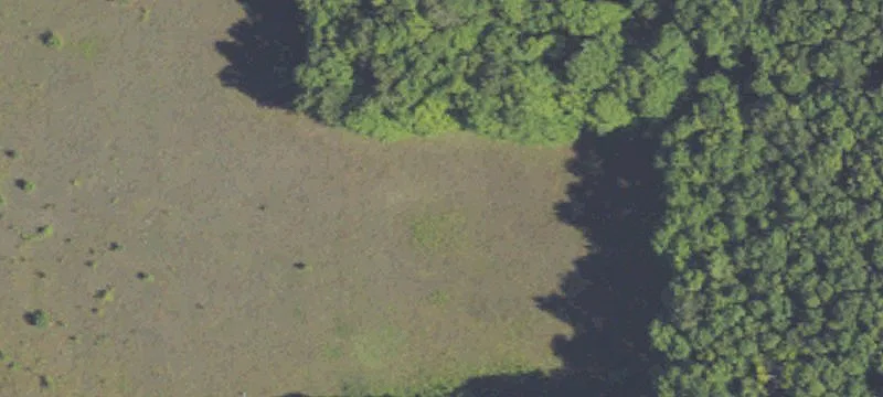 Wooded Hunting Land